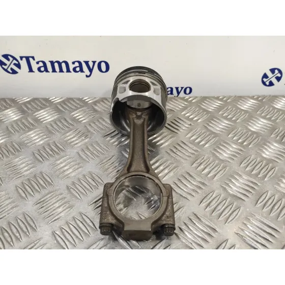Piston para Seat Leon (1P1)