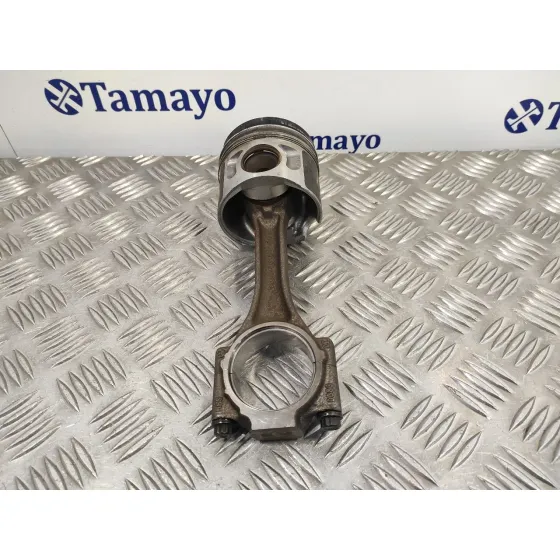 Piston para Seat Leon (1P1)