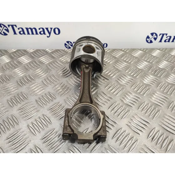 Piston para Seat Leon (1P1)
