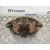Pinza Freno Delantera Izquierda para Nissan Pick-Up (D22)