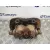 Pinza Freno Delantera Derecha para Nissan Pick-Up (D22)