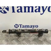 Rampa Inyectora para Fiat Scudo Furgon (272)