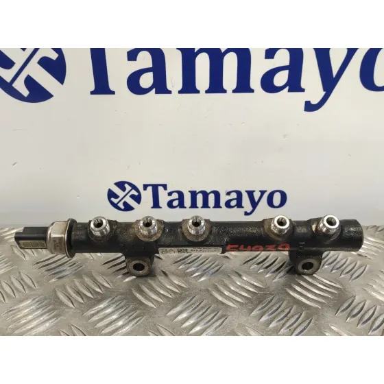 Rampa Inyectora para Fiat Scudo Furgon (272)