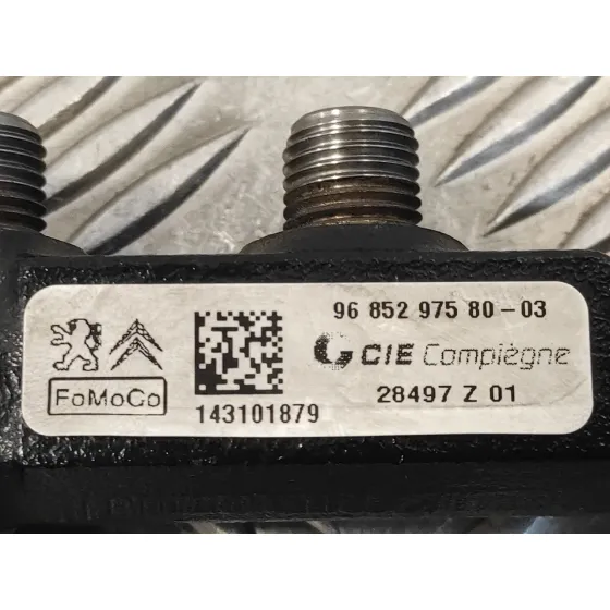 Rampa Inyectora para Fiat Scudo Furgon (272)