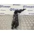 Tapa Balancines para Fiat Scudo Furgon (272)