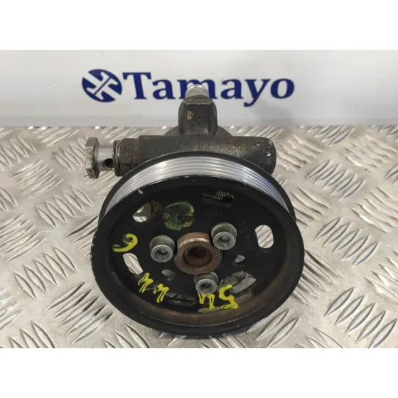 Bomba Direccion para Seat Toledo (1M2)