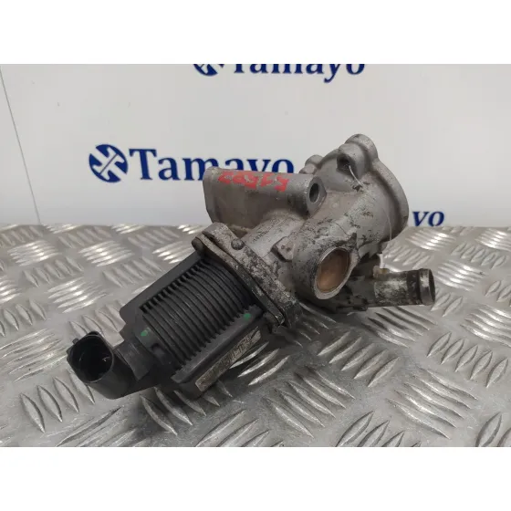 Valvula Egr para Fiat Grande Punto (199)