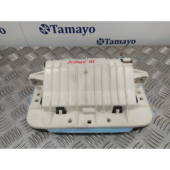 Airbag Delantero Derecho para Renault Scenic Iii