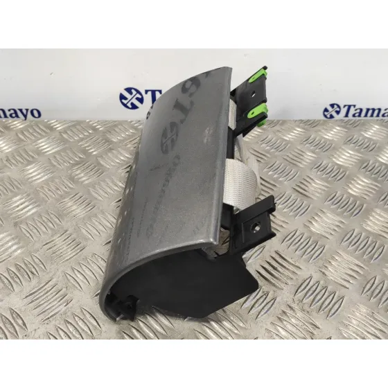 Embellecedor para Mini Mini (R50,R53)