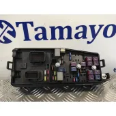 Caja Reles / Fusibles para Kia Carnival