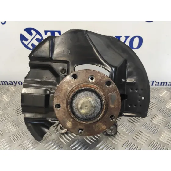 Mangueta Delantera Izquierda para Bmw Serie 3 Coupe (E46)