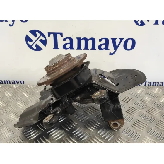 Mangueta Delantera Izquierda para Bmw Serie 3 Coupe (E46)