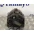 Alternador para Renault Clio Ii Fase Ii (B/Cb0)