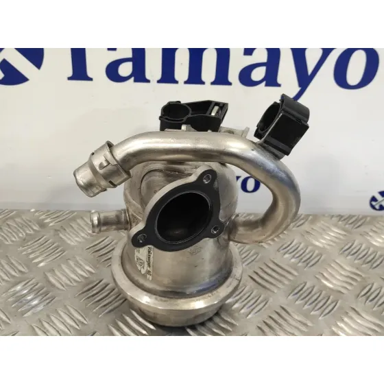 Enfriador Gases para Seat Ibiza (6P1)