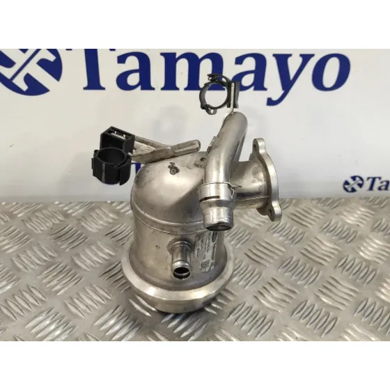 Enfriador Gases para Seat Ibiza (6P1)