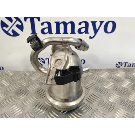 Enfriador Gases para Seat Ibiza (6P1)