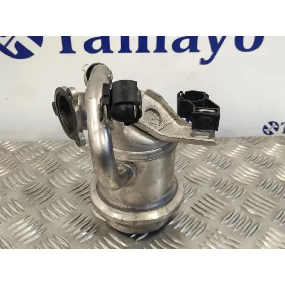 Enfriador Gases para Seat Ibiza (6P1)