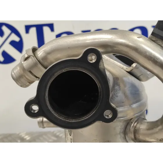 Enfriador Gases para Seat Ibiza (6P1)