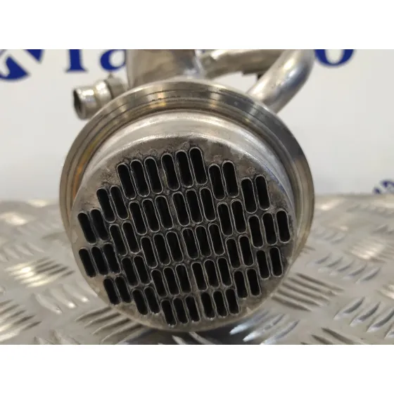 Enfriador Gases para Seat Ibiza (6P1)
