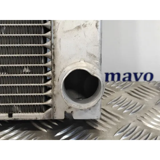 Radiador Agua para Bmw Serie 5 Berlina (E60)