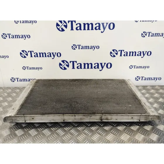 Radiador Agua para Bmw Serie 5 Berlina (E60)