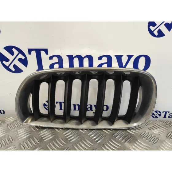 Rejilla Delantera para Bmw X3 (E83)