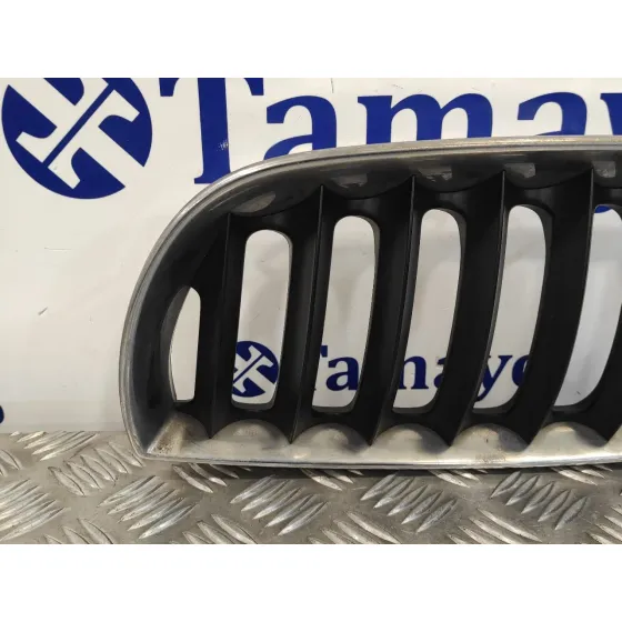 Rejilla Delantera para Bmw X3 (E83)