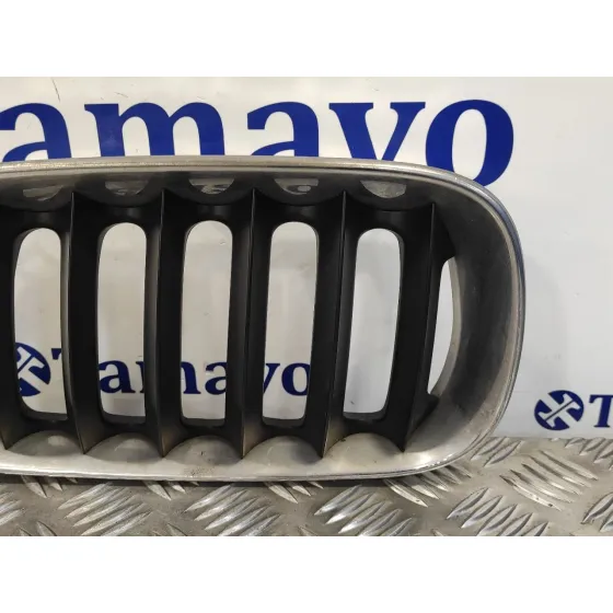 Rejilla Delantera para Bmw X3 (E83)