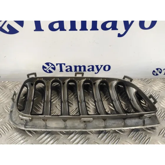 Rejilla Delantera para Bmw X3 (E83)