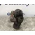 Pinza Freno Delantera Derecha para Dacia Sandero