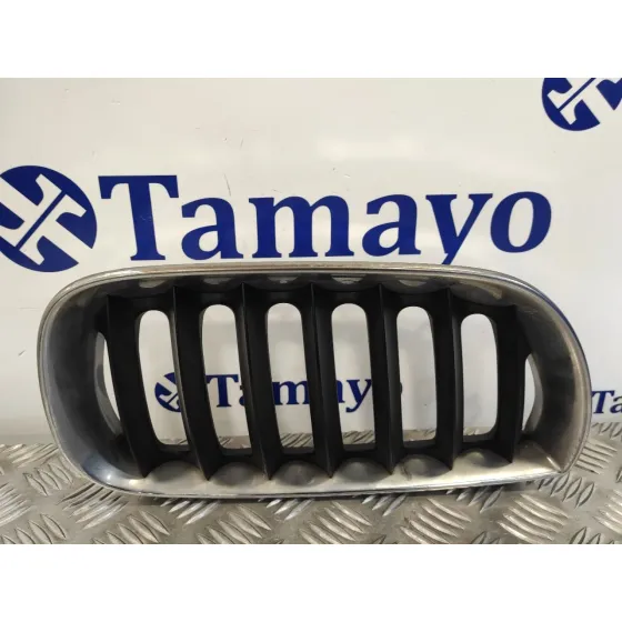 Rejilla Delantera para Bmw X3 (E83)