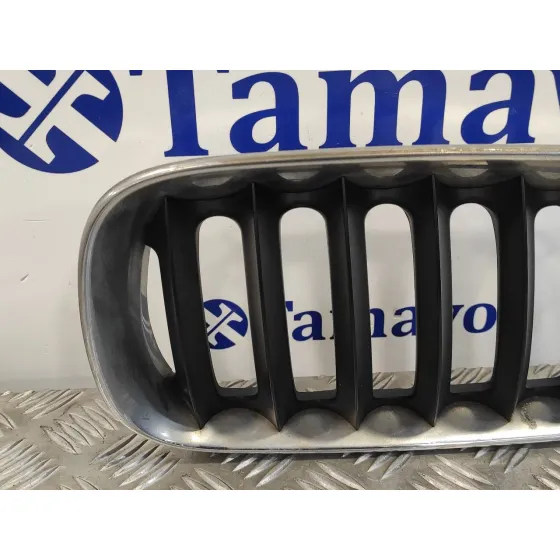 Rejilla Delantera para Bmw X3 (E83)