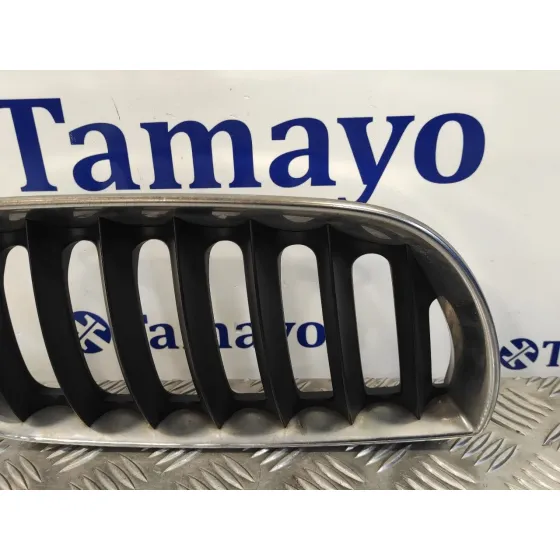 Rejilla Delantera para Bmw X3 (E83)