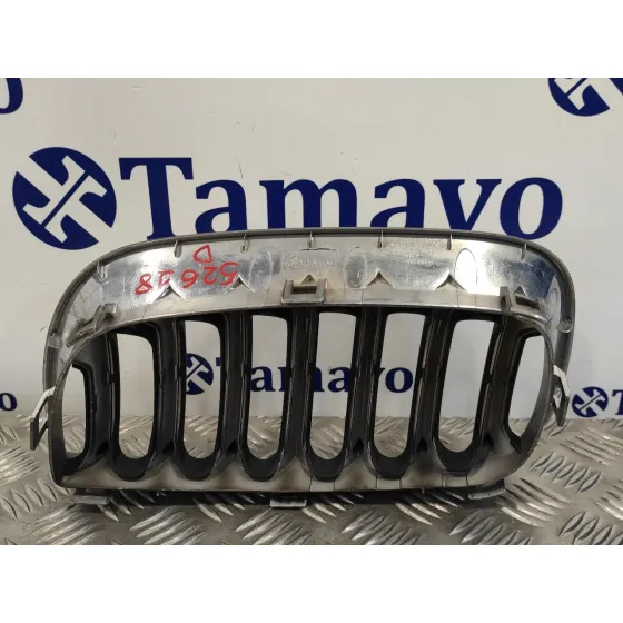 Rejilla Delantera para Bmw X3 (E83)