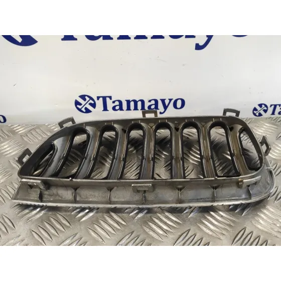Rejilla Delantera para Bmw X3 (E83)