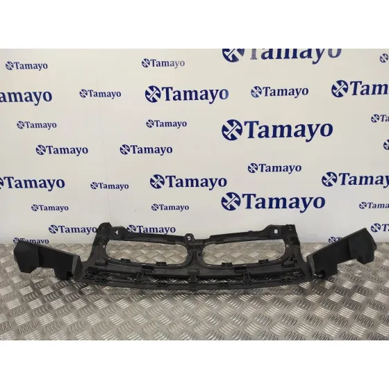 Refuerzo Paragolpes Delantero para Bmw X3 (E83)