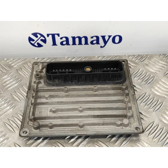 Centralita Motor Uce para Ford Fiesta (Cbk)