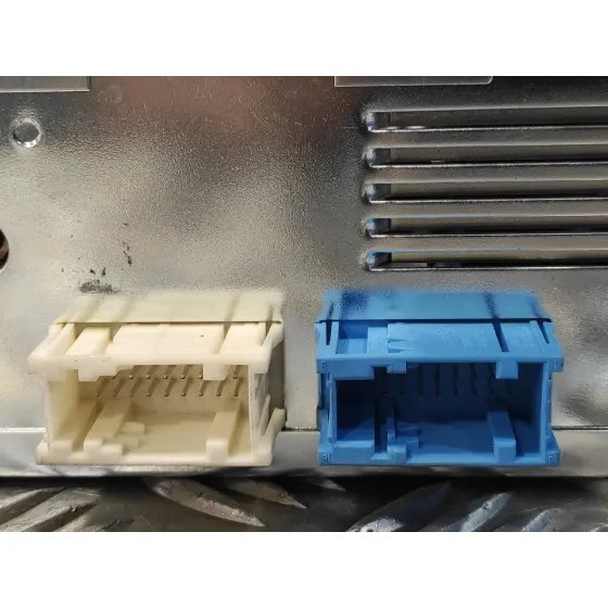Modulo Electronico para Bmw X5 (E53)