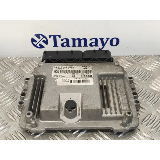 Centralita Motor Uce para Hyundai Santa Fe (Bm)