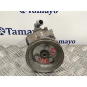 Bomba Servodireccion para Fiat Doblo (119)