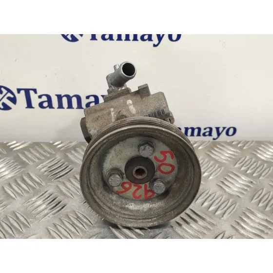 Bomba Servodireccion para Fiat Doblo (119)