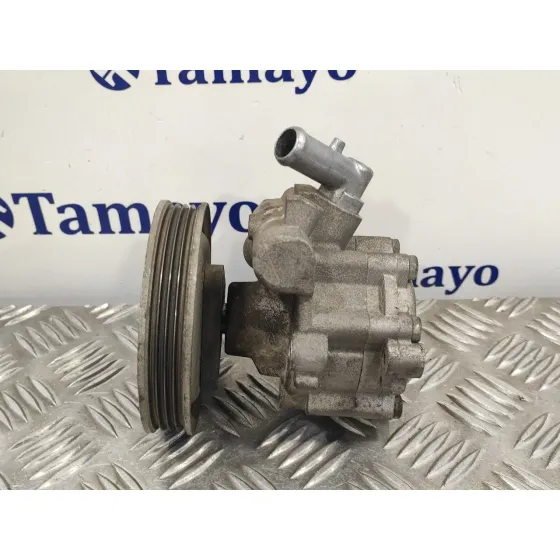 Bomba Servodireccion para Fiat Doblo (119)
