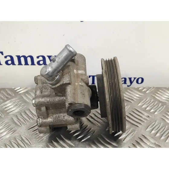 Bomba Servodireccion para Fiat Doblo (119)