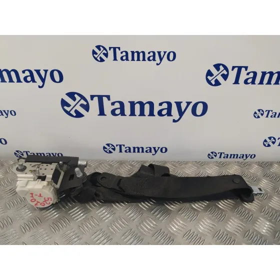 Cinturon Seguridad Trasero Izquierdo para Mercedes-Benz Clase R (W251)