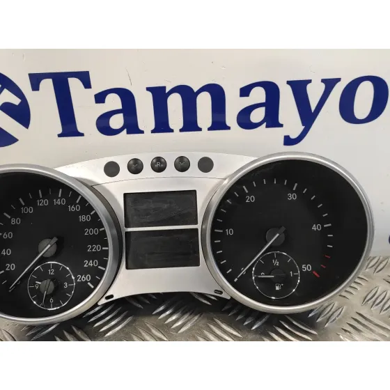 Cuadro Instrumentos para Mercedes-Benz Clase R (W251)