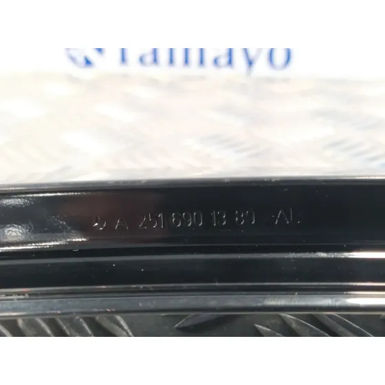 Moldura Puerta Delantera Izquierda para Mercedes-Benz Clase R (W251)
