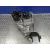 Caja Cambios para Kia Carnival