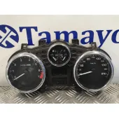 Cuadro Instrumentos para Peugeot 206+