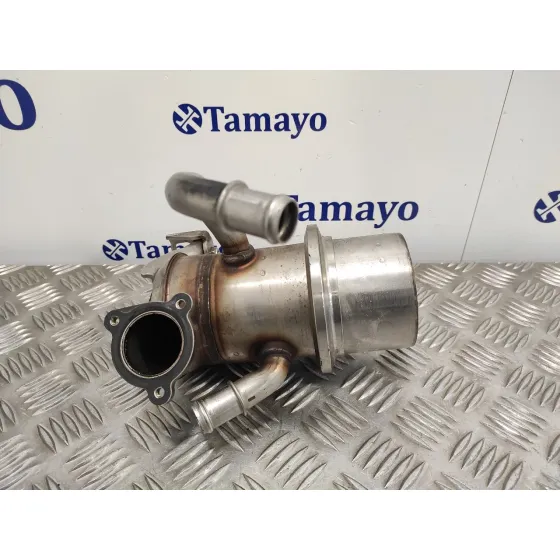 Enfriador Egr para Audi A3 Sportback (8Va)