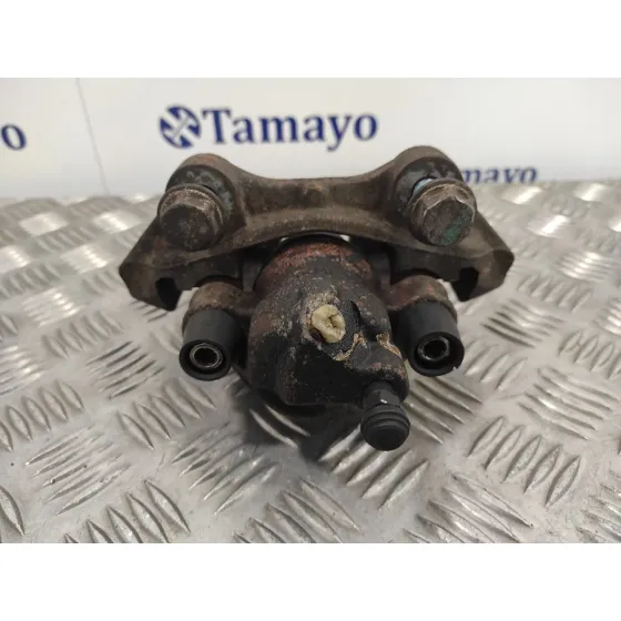 Pinza Freno Trasera Izquierda para Mercedes-Benz Clase R (W251)